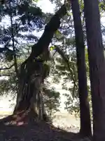 西側神社(福井県)