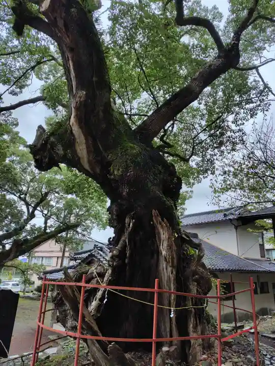 土肥神社(静岡県)