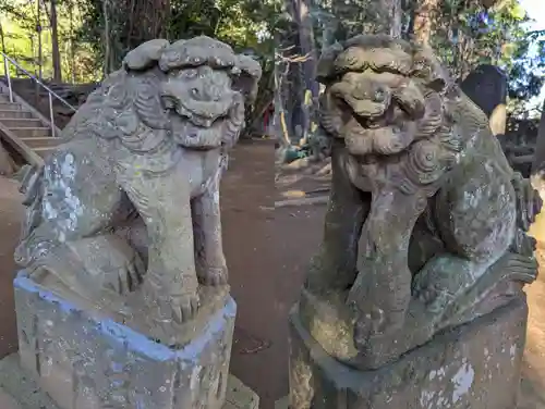 七百餘所神社 の狛犬