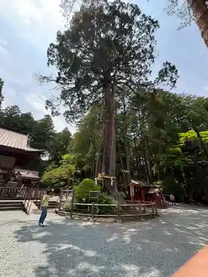 北口本宮冨士浅間神社(山梨県)