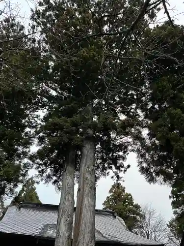 高司神社〜むすびの神の鎮まる社〜の自然