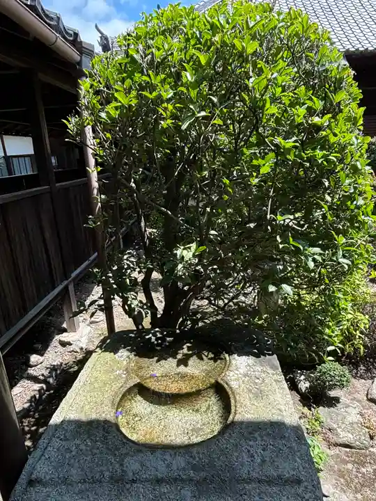 聖衆来迎寺(滋賀県)