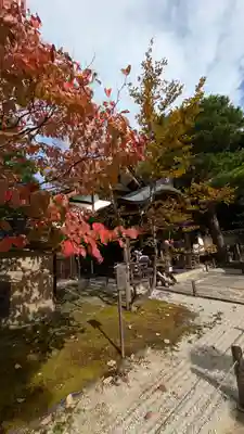 大仙院(京都府)