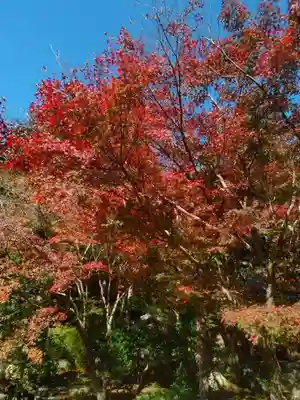 覚園寺(神奈川県)