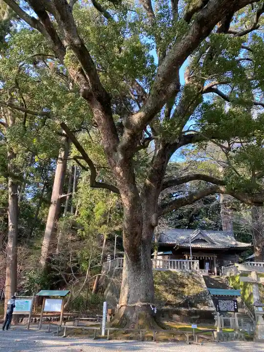 事任八幡宮(静岡県)