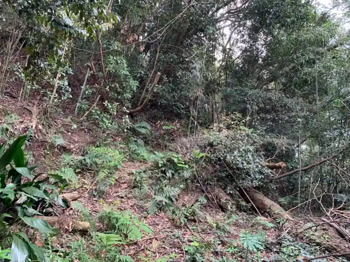大山祇神社の周辺