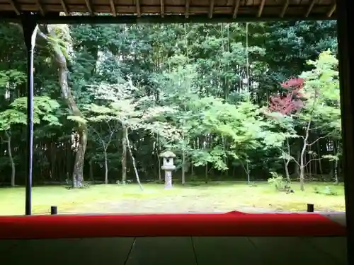 高桐院（大徳寺塔頭）の庭園