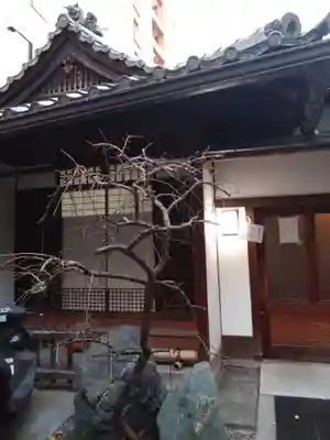 龍雲院(京都府)