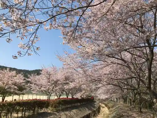 観音正寺の自然