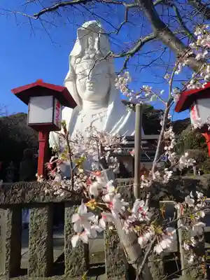 大船観音寺(神奈川県)