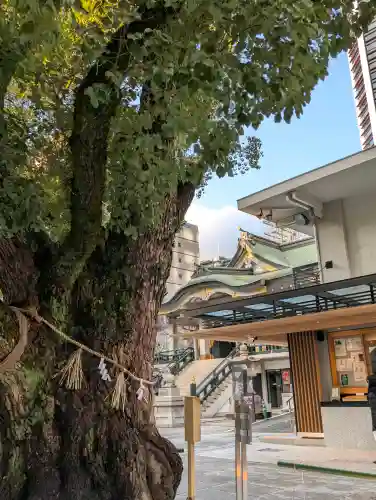 難波神社の{uncategorized: "未分類", other: "その他", undefined: "問題あり", building: "その他建物", grave: "お墓", sacred_gate: "鳥居", guardian: "狛犬", statue: "像", buddha: "仏像", history: "歴史", nature: "自然", garden: "庭園", animal: "動物", pagoda: "塔", temizu: "手水舎", mountain_gate: "山門・神門", sanctuary: "本殿・本堂", subordinate: "末社・摂社", art: "芸術", scenery: "景色", jizo: "地蔵", ema: "絵馬", goshuin: "御朱印", omikuji: "おみくじ", items: "授与品その他", amulet: "お守り", goshuincho: "御朱印帳", eats: "食事", festival: "お祭り", votive_dance: "神楽", shichigosan: "七五三参", wedding: "結婚式", experience: "体験その他", initially: "初詣", around: "周辺", anti_infection: "感染症対策"}