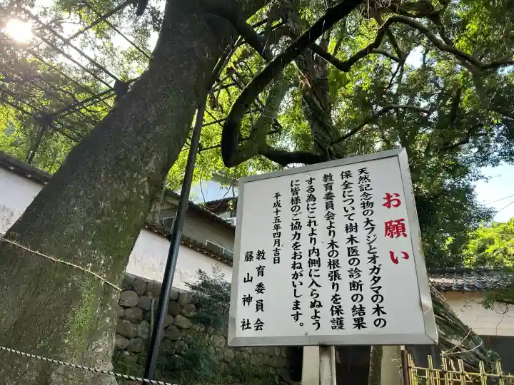 藤山神社(長崎県)