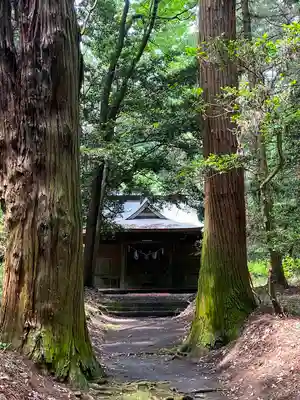 青山神社の本殿・本堂