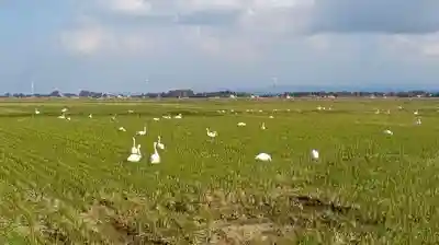 白狐山光星寺(山形県)