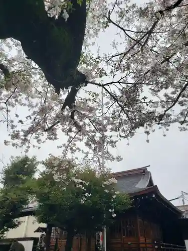 本郷氷川神社(東京都)