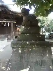 下石原八幡神社の狛犬