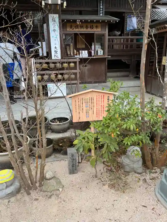 大聖院(広島県)