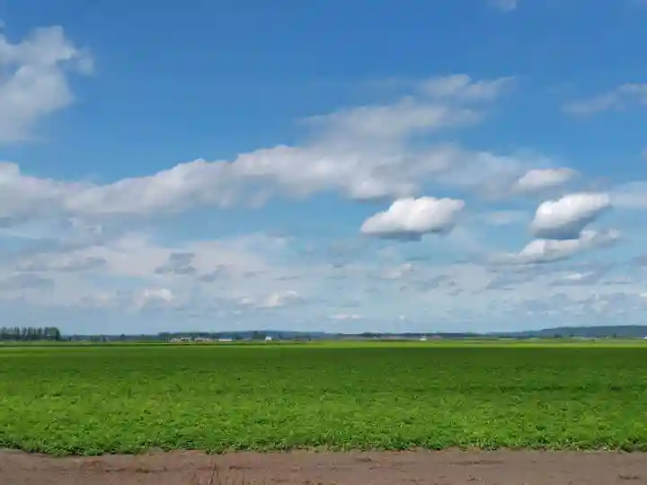 上更別神社の景色