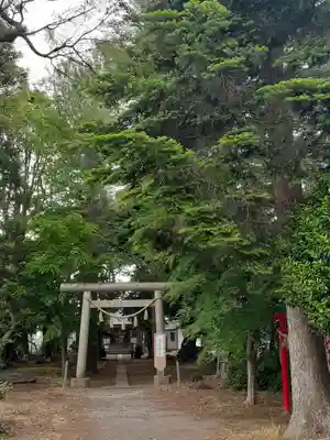諏訪神社の鳥居