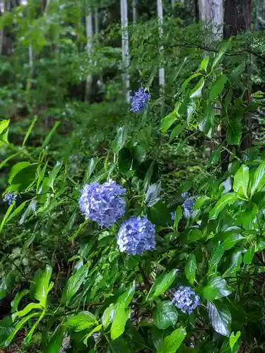 普門寺(切り絵御朱印発祥の寺)(愛知県)