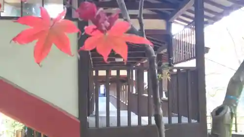 本土寺のその他建物