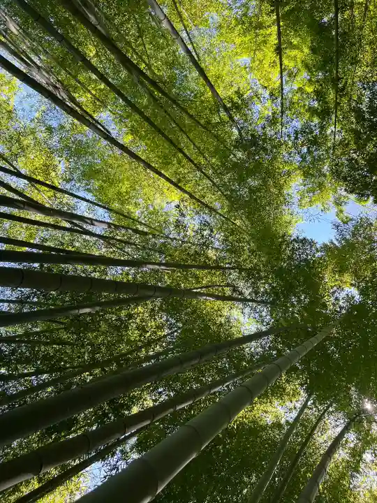 明月院(神奈川県)