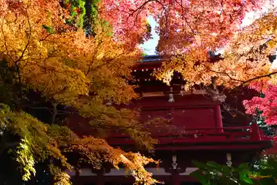 本土寺(千葉県)