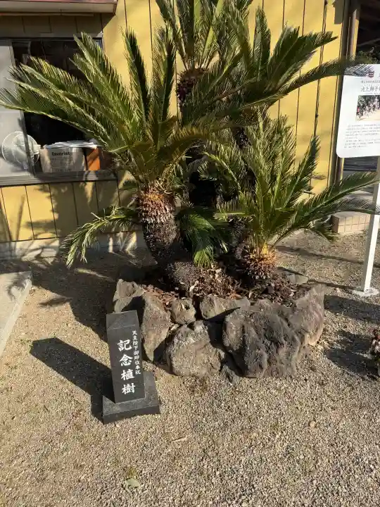 古宮神社の{uncategorized: "未分類", other: "その他", undefined: "問題あり", building: "その他建物", grave: "お墓", sacred_gate: "鳥居", guardian: "狛犬", statue: "像", buddha: "仏像", history: "歴史", nature: "自然", garden: "庭園", animal: "動物", pagoda: "塔", temizu: "手水舎", mountain_gate: "山門・神門", sanctuary: "本殿・本堂", subordinate: "末社・摂社", art: "芸術", scenery: "景色", jizo: "地蔵", ema: "絵馬", goshuin: "御朱印", omikuji: "おみくじ", items: "授与品その他", amulet: "お守り", goshuincho: "御朱印帳", eats: "食事", festival: "お祭り", votive_dance: "神楽", shichigosan: "七五三参", wedding: "結婚式", experience: "体験その他", initially: "初詣", around: "周辺", anti_infection: "感染症対策"}