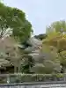 瀧泉寺(目黒不動尊)の{uncategorized: "未分類", other: "その他", undefined: "問題あり", building: "その他建物", grave: "お墓", sacred_gate: "鳥居", guardian: "狛犬", statue: "像", buddha: "仏像", history: "歴史", nature: "自然", garden: "庭園", animal: "動物", pagoda: "塔", temizu: "手水舎", mountain_gate: "山門・神門", sanctuary: "本殿・本堂", subordinate: "末社・摂社", art: "芸術", scenery: "景色", jizo: "地蔵", ema: "絵馬", goshuin: "御朱印", omikuji: "おみくじ", items: "授与品その他", amulet: "お守り", goshuincho: "御朱印帳", eats: "食事", festival: "お祭り", votive_dance: "神楽", shichigosan: "七五三参", wedding: "結婚式", experience: "体験その他", initially: "初詣", around: "周辺", anti_infection: "感染症対策"}