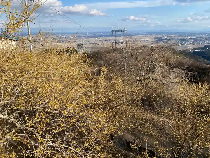 羽黒山神社の{uncategorized: "未分類", other: "その他", undefined: "問題あり", building: "その他建物", grave: "お墓", sacred_gate: "鳥居", guardian: "狛犬", statue: "像", buddha: "仏像", history: "歴史", nature: "自然", garden: "庭園", animal: "動物", pagoda: "塔", temizu: "手水舎", mountain_gate: "山門・神門", sanctuary: "本殿・本堂", subordinate: "末社・摂社", art: "芸術", scenery: "景色", jizo: "地蔵", ema: "絵馬", goshuin: "御朱印", omikuji: "おみくじ", items: "授与品その他", amulet: "お守り", goshuincho: "御朱印帳", eats: "食事", festival: "お祭り", votive_dance: "神楽", shichigosan: "七五三参", wedding: "結婚式", experience: "体験その他", initially: "初詣", around: "周辺", anti_infection: "感染症対策"}