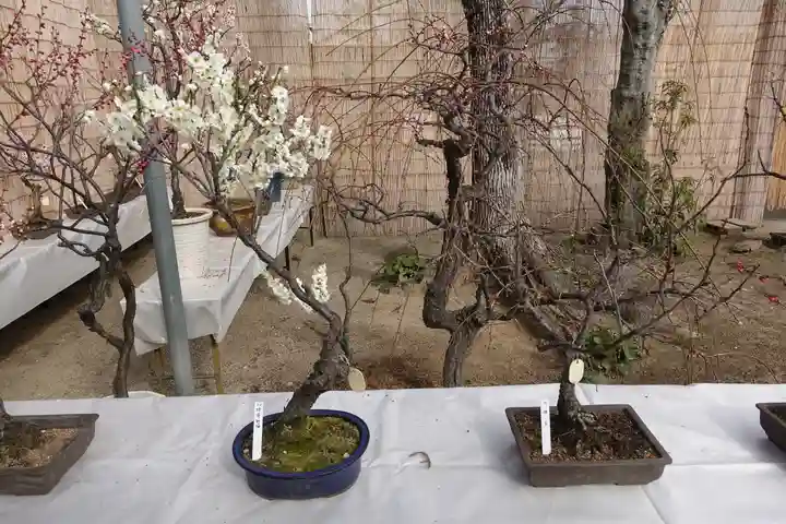 菅原天満宮(菅原神社)の周辺
