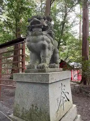 椿大神社の狛犬
