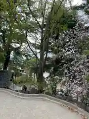 品川神社(東京都)