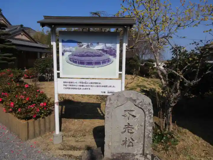 曼荼羅寺(香川県)