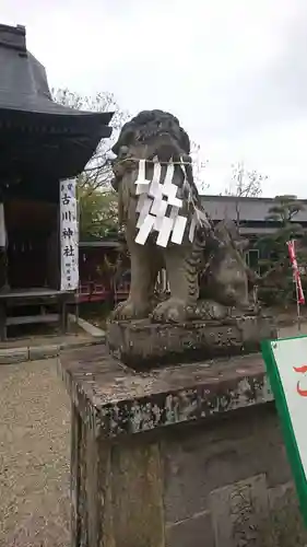 古川神社の狛犬