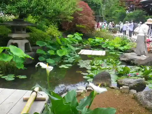 長谷寺の庭園