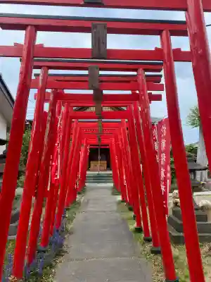 於菊稲荷神社の{uncategorized: "未分類", other: "その他", undefined: "問題あり", building: "その他建物", grave: "お墓", sacred_gate: "鳥居", guardian: "狛犬", statue: "像", buddha: "仏像", history: "歴史", nature: "自然", garden: "庭園", animal: "動物", pagoda: "塔", temizu: "手水舎", mountain_gate: "山門・神門", sanctuary: "本殿・本堂", subordinate: "末社・摂社", art: "芸術", scenery: "景色", jizo: "地蔵", ema: "絵馬", goshuin: "御朱印", omikuji: "おみくじ", items: "授与品その他", amulet: "お守り", goshuincho: "御朱印帳", eats: "食事", festival: "お祭り", votive_dance: "神楽", shichigosan: "七五三参", wedding: "結婚式", experience: "体験その他", initially: "初詣", around: "周辺", anti_infection: "感染症対策"}