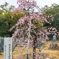 伊勢の国 四天王寺(三重県)