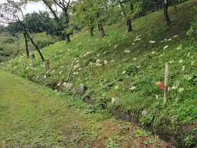 不動寺(埼玉県)