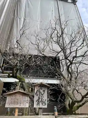 太宰府天満宮(福岡県)