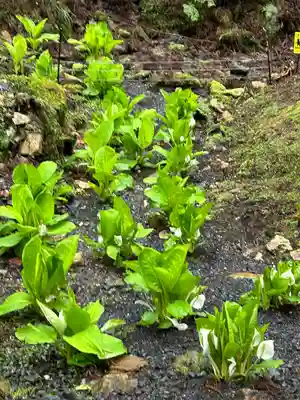 御岩神社(茨城県)