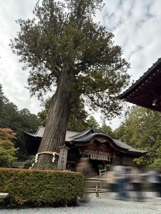 北口本宮冨士浅間神社(山梨県)