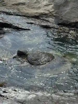 江島神社(神奈川県)