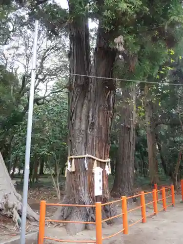 息栖神社の建物その他