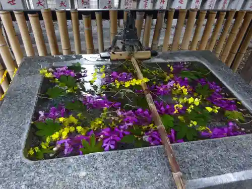 高円寺氷川神社の手水