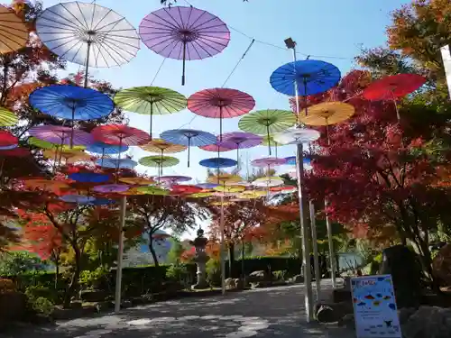 宝徳寺の景色