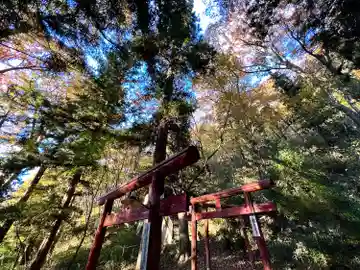 長田神社(長野県)