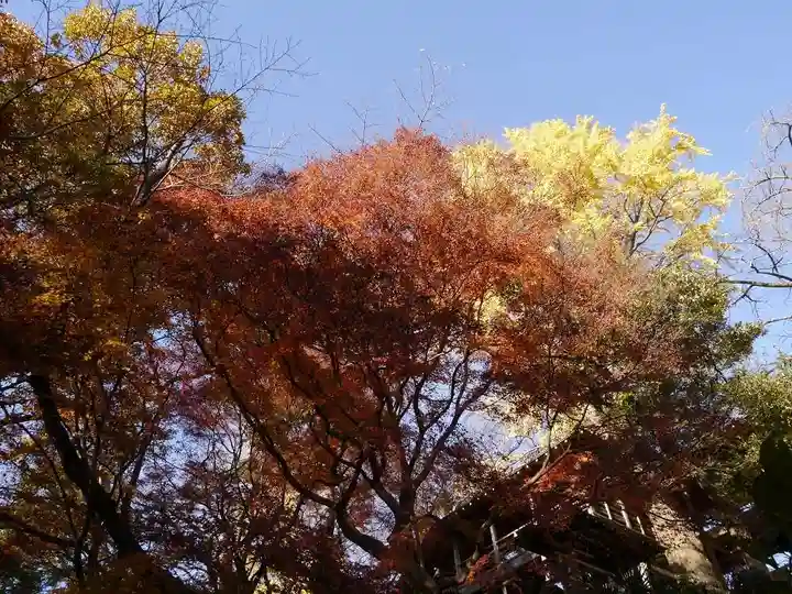 明王院(満願寺別院)の自然