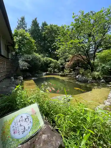 感通寺の庭園