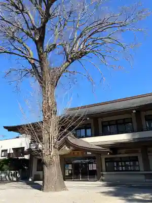 葛西神社(東京都)